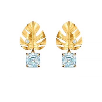 Crystal Earrings 5538179