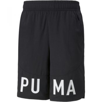 Pantaloni scurti barbati Puma Logo 9 52153901 la reducere