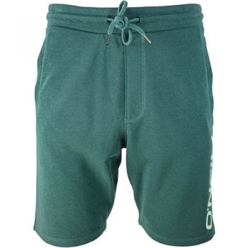 Pantaloni scurti barbati ONeill Essentials N02500-16013 la reducere