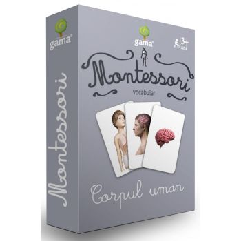 Joc Montessori Corpul uman, Editura Gama, 2-3 ani +