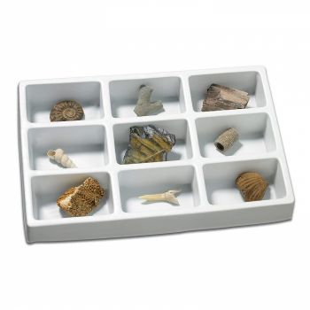 Kit paleontologie - Fosile, Educational Insights, 8-9 ani +