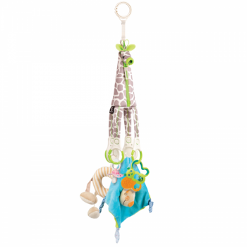 Organizator Benbat G Organizator Benbat G