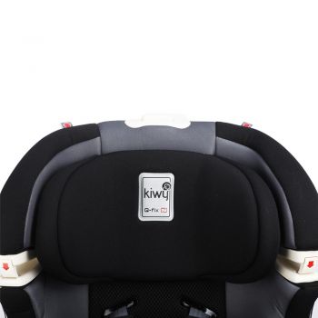 Scaun auto cu isofix SLF123 PLUS Q-FIX Carbon 9-36 kg la reducere