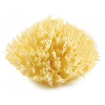 Burete Natural de Baie Thermobaby Honeycomb