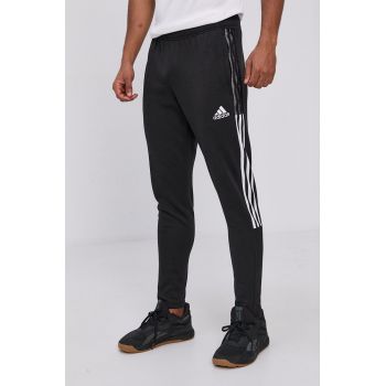 Adidas Performance Pantaloni GM7336 bărbați, culoarea negru, cu imprimeu