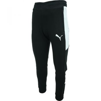 Pantaloni barbati Puma Modern Sports 58948301