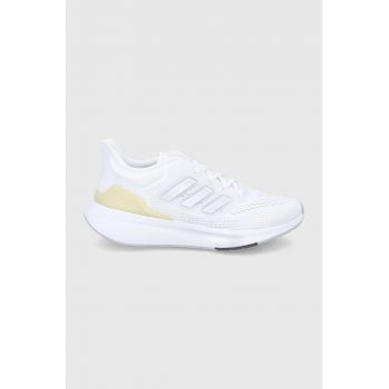 adidas pantofi de alergat Eq21 GZ0591 culoarea alb
