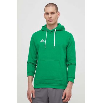 adidas Performance bluză Entrada 22 bărbați, culoarea verde, uni HI2141