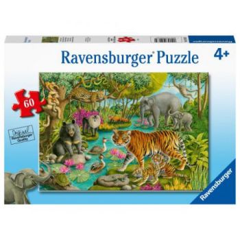 PUZZLE PADURE IN INDIA, 60 PIESE