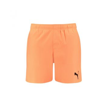 Sort de baie Puma swim men MID 1P