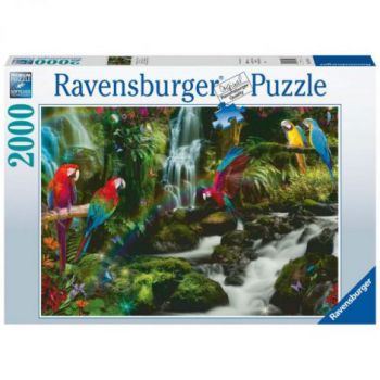 PUZZLE PAPAGALI IN JUNGLA, 2000 PIESE de firma original