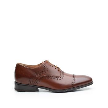 Pantofi eleganti barbati, Oxford din piele naturala, Leofex - 748 cognac de firma original
