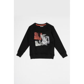 Bluza sport cu maneci raglan Obie