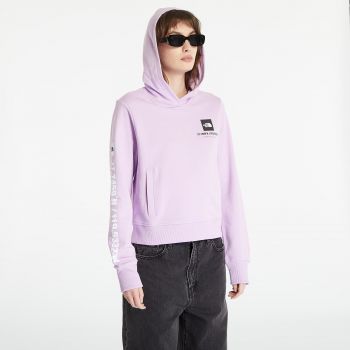 The North Face Coordinates Crop Hoodie Lupine