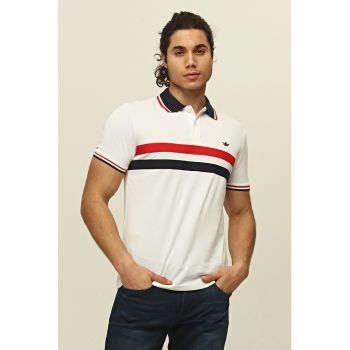 Tricou polo cu dungi