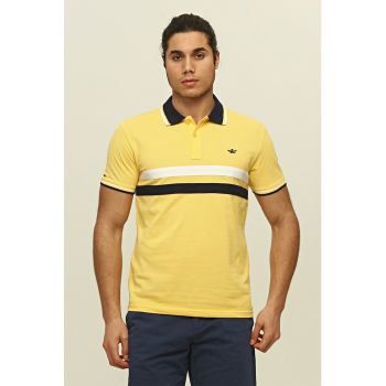 Tricou polo cu dungi