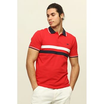 Tricou polo cu dungi