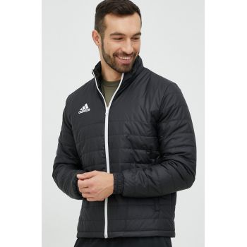 adidas Performance geacă bărbați, culoarea negru, de tranziție IB6070