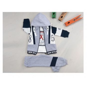 Trening 85, Bluza, Pantaloni si Hanorac, Pentru Baietei, Gri, 2-4 ani Trening 85, Bluza, Pantaloni si Hanorac, Pentru Baietei, Gri, 2-4 ani
