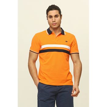 Tricou polo cu dungi