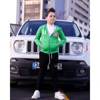 Trening Verde, Lion, 2 Piese, Hanorac si Pantaloni, Pentru Baieti Trening Verde, Lion, 2 Piese, Hanorac si Pantaloni, Pentru Baieti