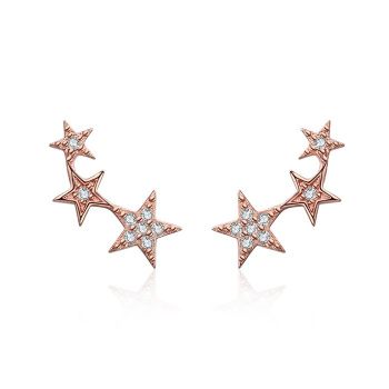 Cercei din argint Rose Gold Stars