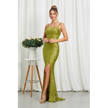 Rochie Shine Fistic ieftina