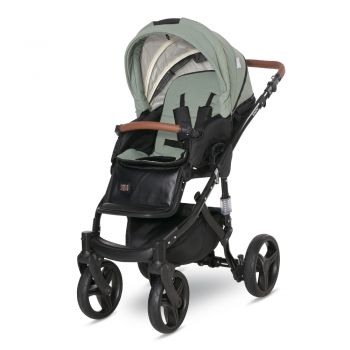 Carucior 2 in 1 Rimini Premium Green Bay