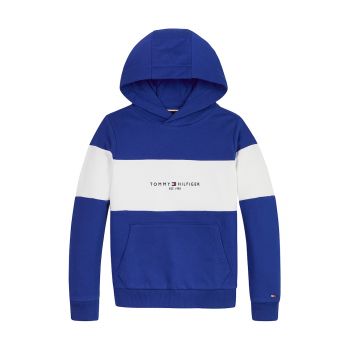 Hanorac cu model colorblock si detaliu logo