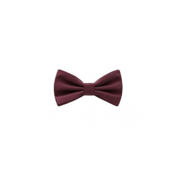 Papion Basic