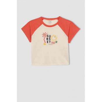 Tricou de bumbac cu maneci raglan