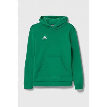 adidas Performance bluza copii ENT22 HOODY Y culoarea verde, cu glugă, cu imprimeu