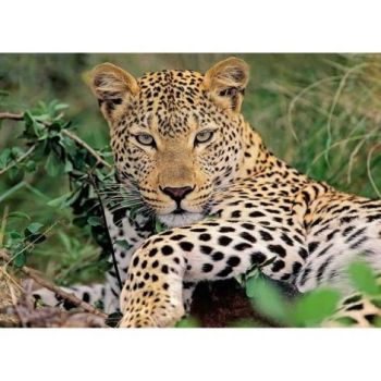 Puzzle Leopard, 100 Piese