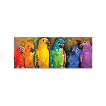 Puzzle 1000 piese Papagali curcubeu