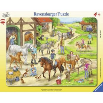 Puzzle Ferma Tip Rama, 40 Piese