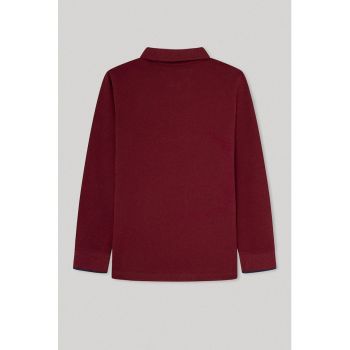 Bluza polo din bumbac cu detaliu logo