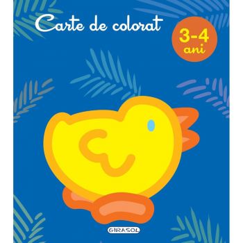 Jucarie Educativa Colorat