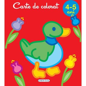 Jucarie Educativa Colorat