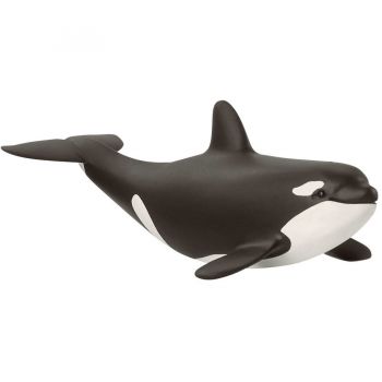 Figurina Wild Life Baby Killer Whale