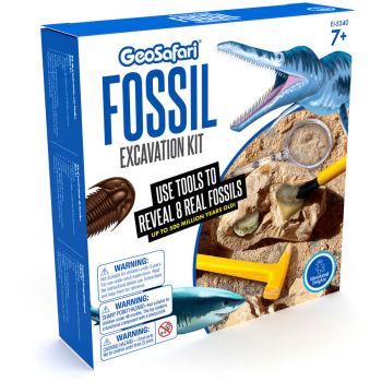 Kit excavare fosile GeoSafari