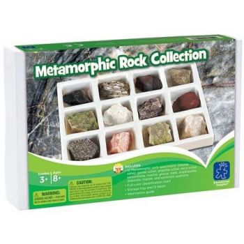 Kit paleontologie Roci metamorfice