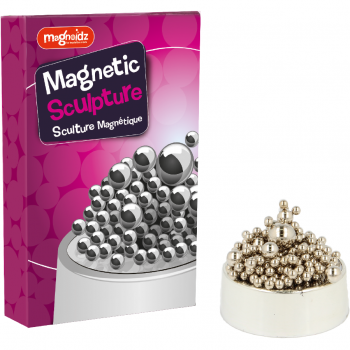 Set creativ Sculptura magnetica