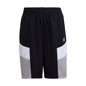 Bermude cu model colorblock D2M