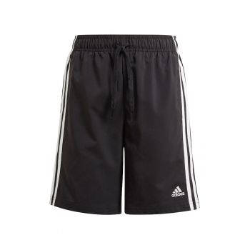 Pantaloni scurti cu talie elastica Legacy Teal