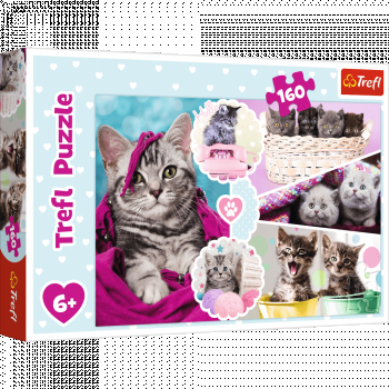 Puzzle carton 160 piese,Lovely kittens,+6 ani