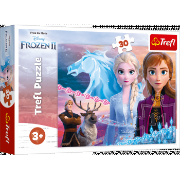 Puzzle carton 30 piese,Frozen2 The courage of the sisters,+3 ani
