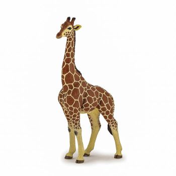 Papo - Figurina Girafa Mascul
