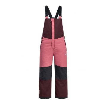 Jack Wolfskin pantaloni de schi pentru copii ACTAMIC 2L INS BIB culoarea roz