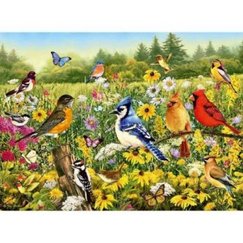 Puzzle Pasarele Colorate, 500 Piese