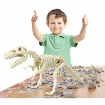 Kit Arheologie Sapa si monteaza 3D scheletul de dinozaur ieftina